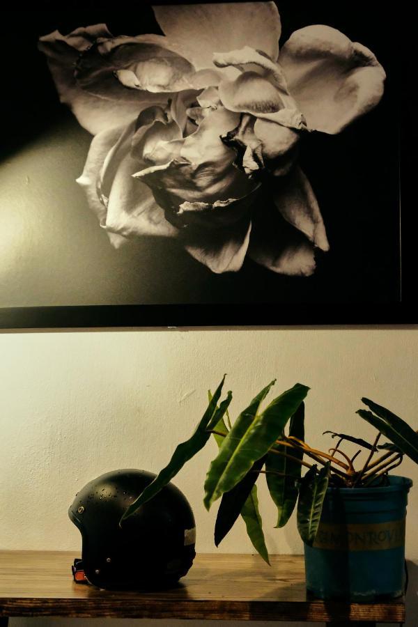 Peaceful Saigon - Entire House 1Br In District 1 - Pet-Friendly Leilighet Ho Chi Minh-byen Eksteriør bilde